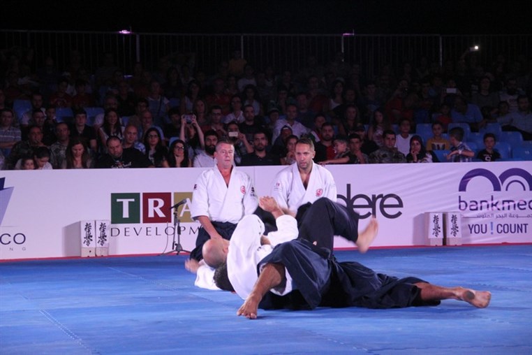 Martial Arts Festival